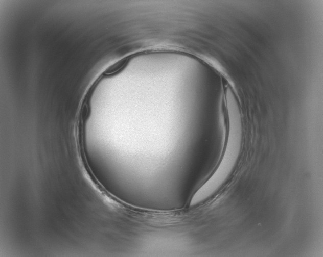 X0000054391007200508191934