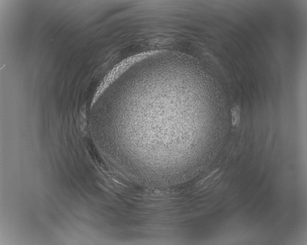 X0000054391011200508191933