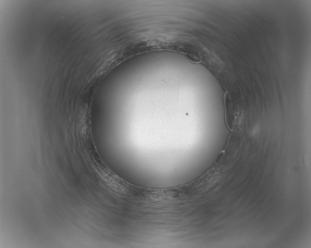 X0000054391012200508191933