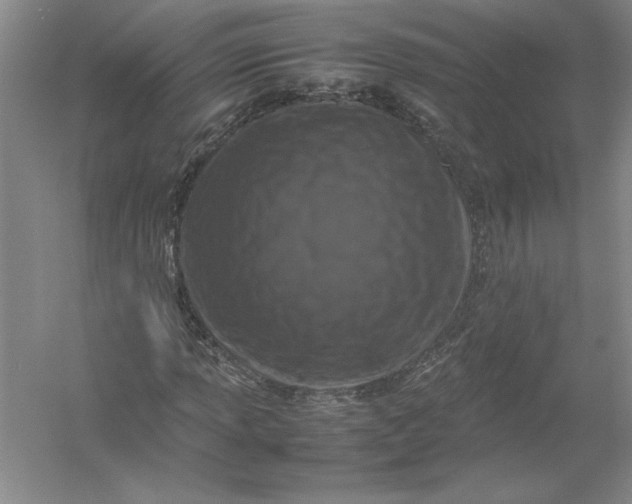 X0000054391013200508191933