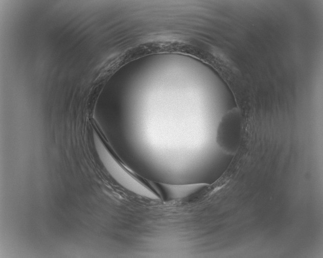 X0000054391014200508191933