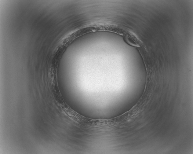 X0000054391016200508191933