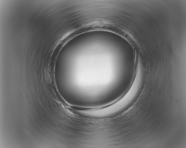 X0000054391018200508191933