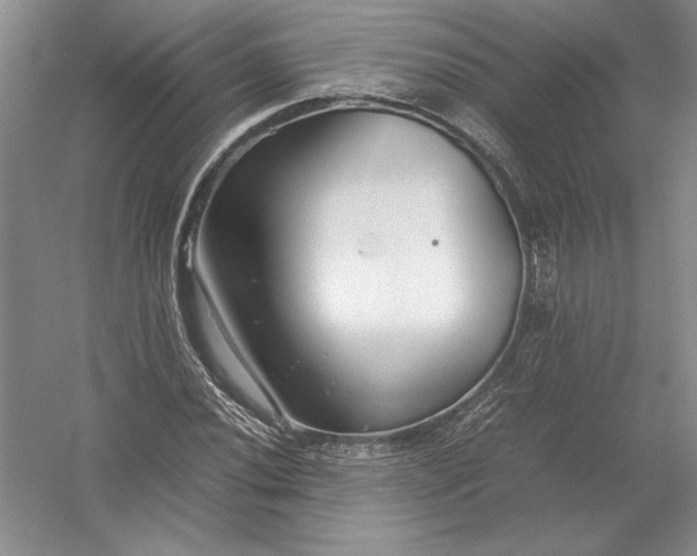 X0000054391020200508191933