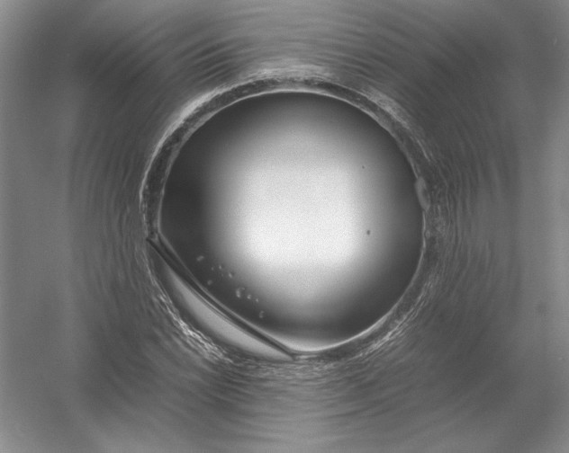 X0000054391022200508191933