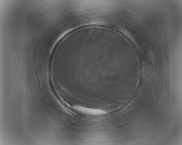 X0000054391024200508191933