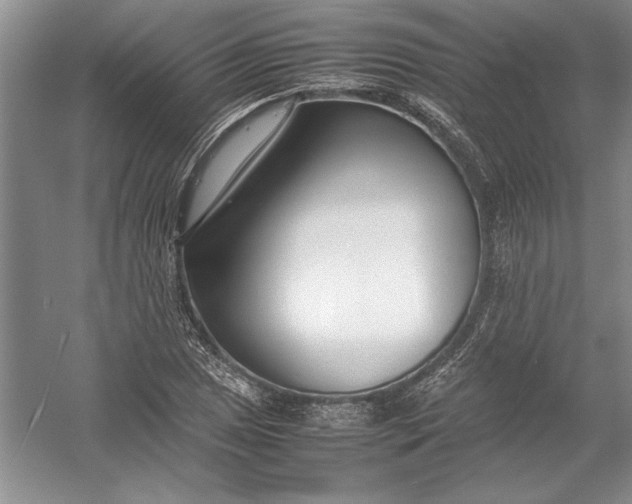 X0000054391025200508191933
