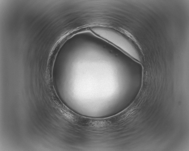 X0000054391027200508191933