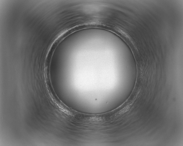 X0000054391029200508191933