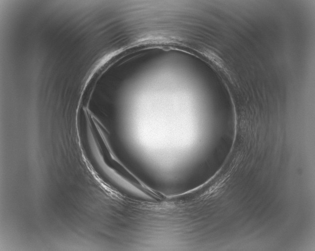 X0000054391030200508191933