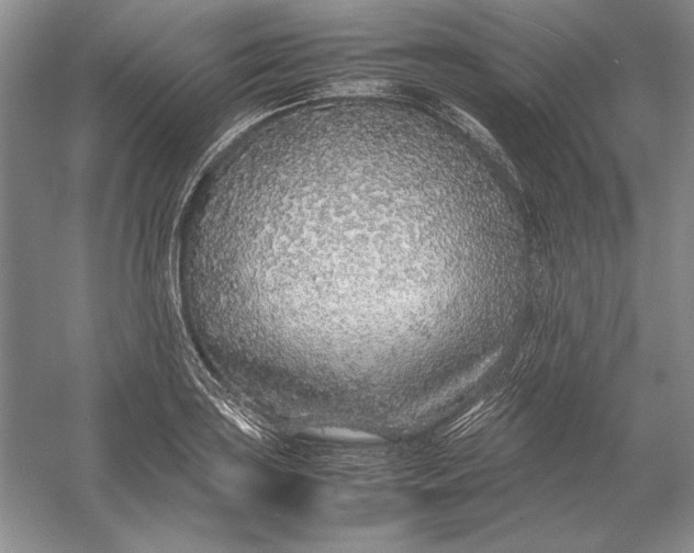 X0000054391035200508191933