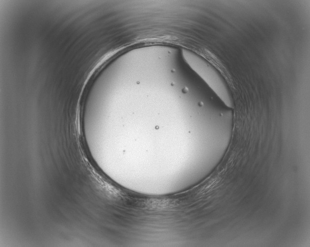 X0000054391036200508191933