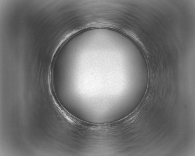 X0000054391040200508191933
