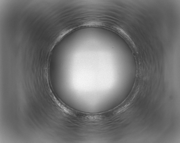 X0000054391041200508191933