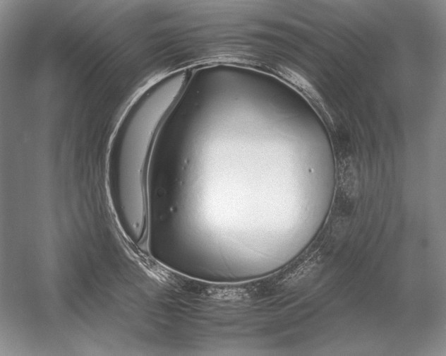 X0000054391043200508191933