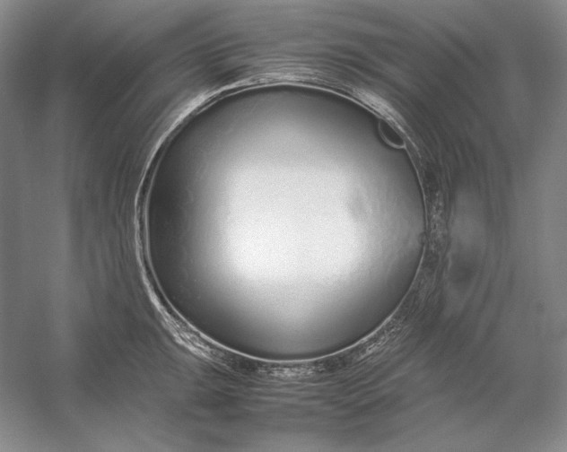 X0000054391047200508191934