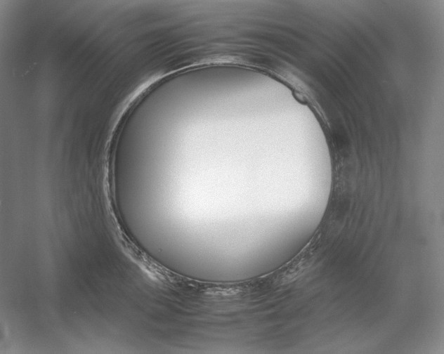 X0000054391051200508191934