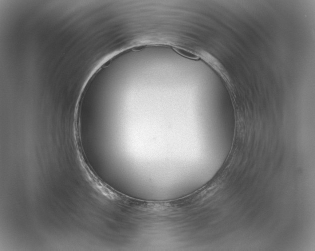 X0000054391052200508191934