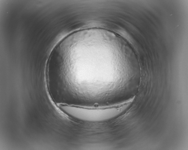 X0000054391055200508191934