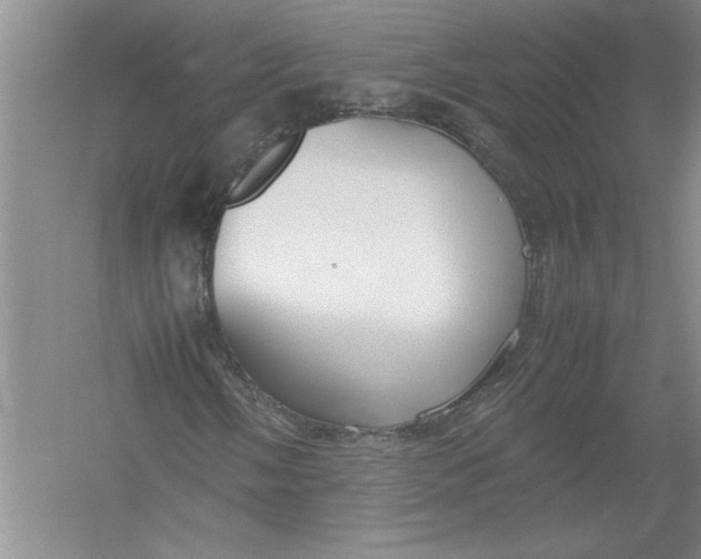 X0000054391058200508191933