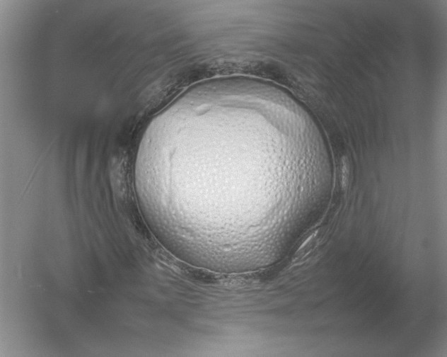 X0000054391059200508191933