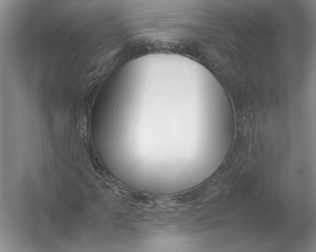 X0000054391061200508191933