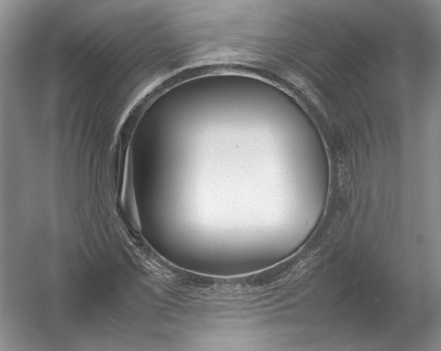 X0000054391069200508191933