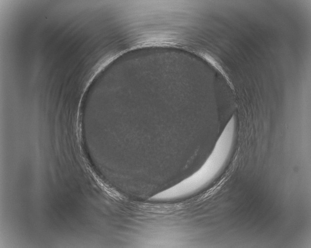 X0000054391077200508191933