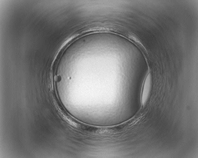 X0000054391079200508191932