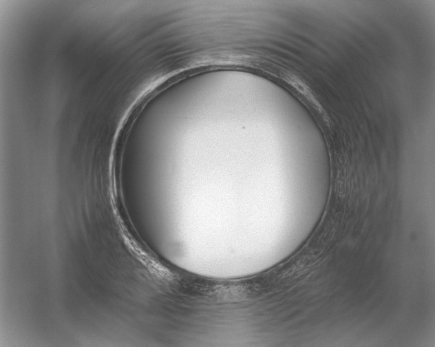 X0000054391080200508191932
