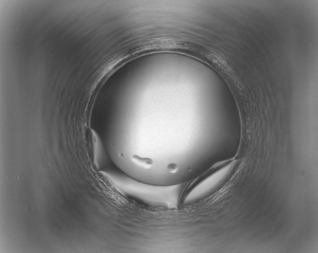 X0000054391081200508191932
