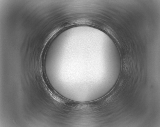 X0000054391082200508191932
