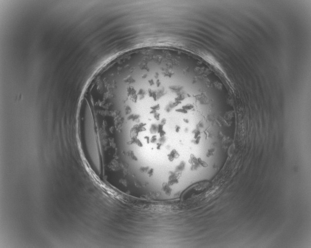 X0000054391088200508191932