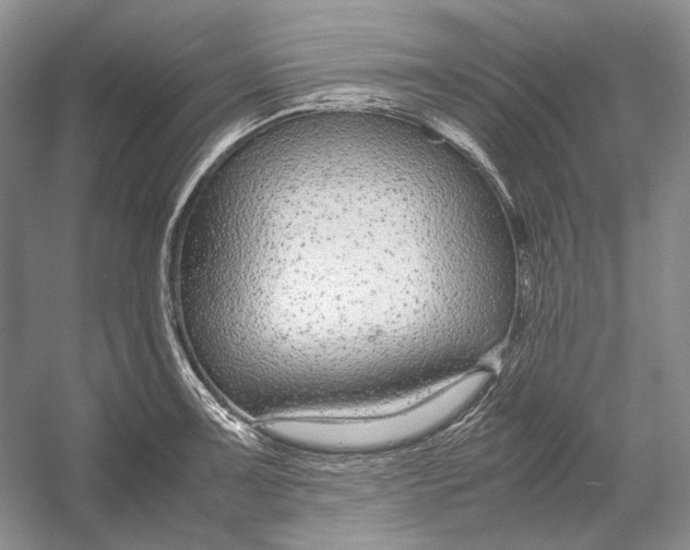 X0000054391091200508191932