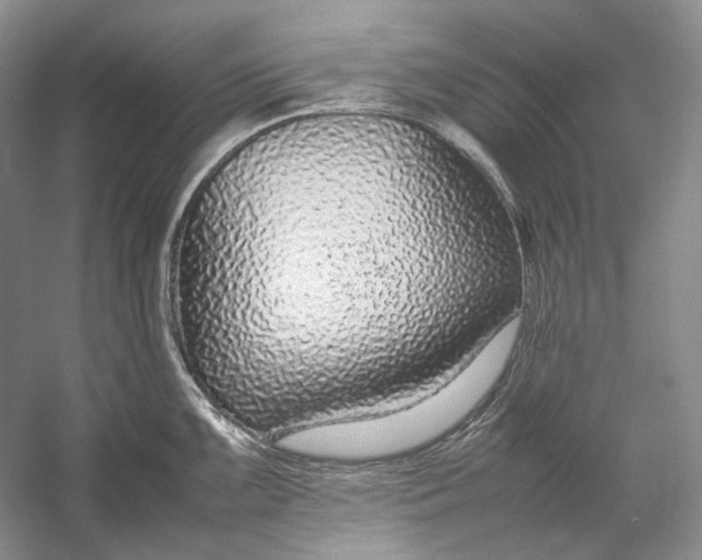 X0000054391099200508191932
