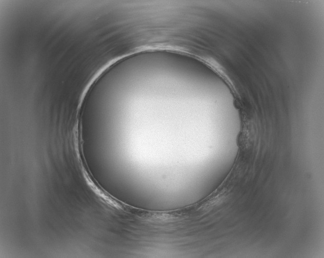 X0000054391100200508191932
