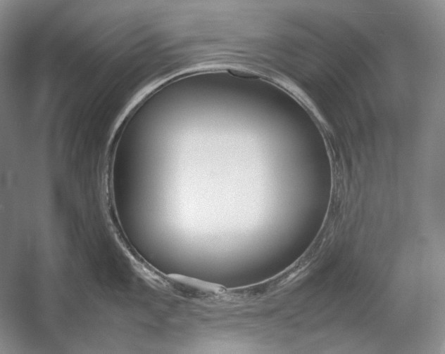 X0000054391101200508191932