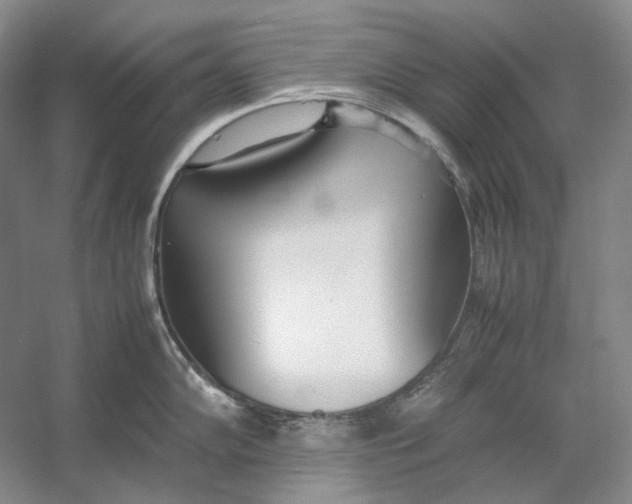 X0000054391102200508191932