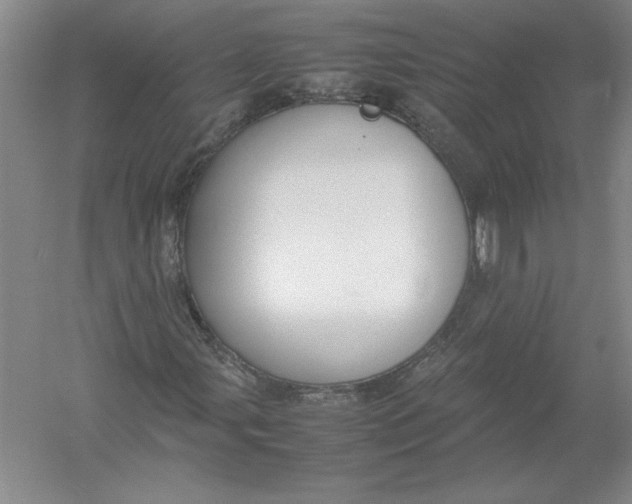 X0000054391107200508191931