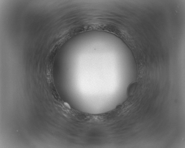 X0000054391109200508191931