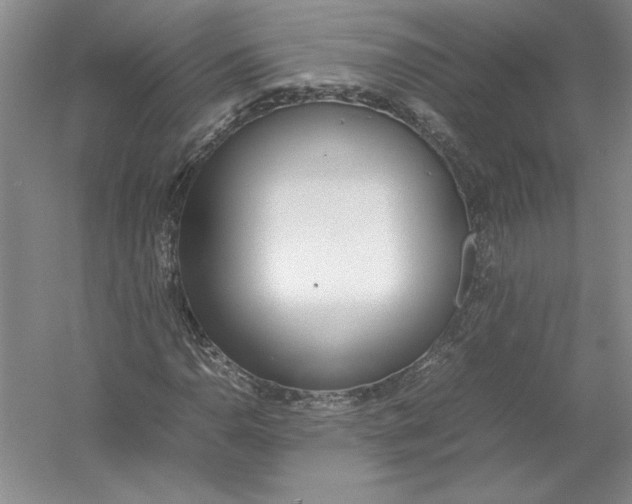 X0000054391110200508191931