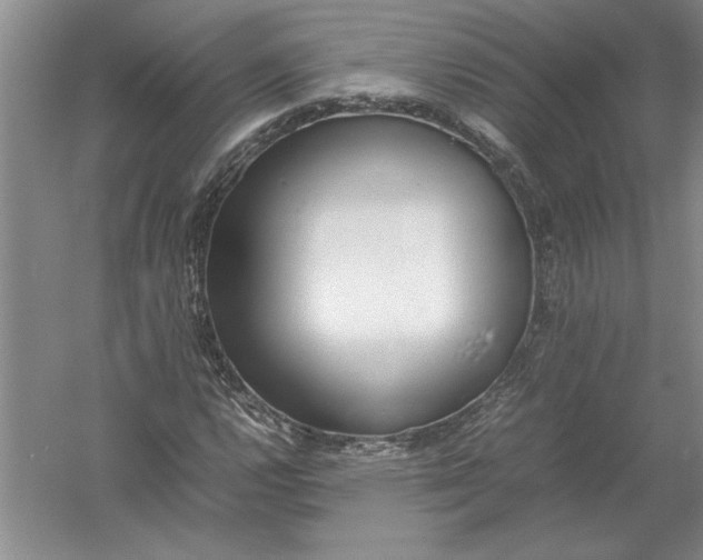 X0000054391112200508191931