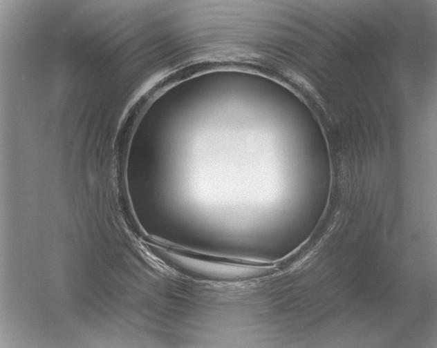 X0000054391114200508191931