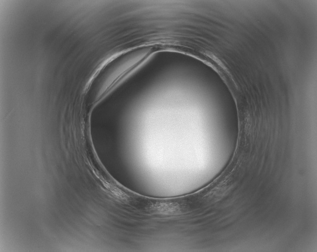 X0000054391115200508191931