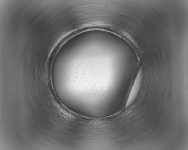 X0000054391116200508191931