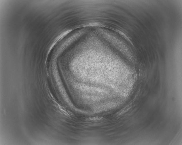 X0000054391117200508191931