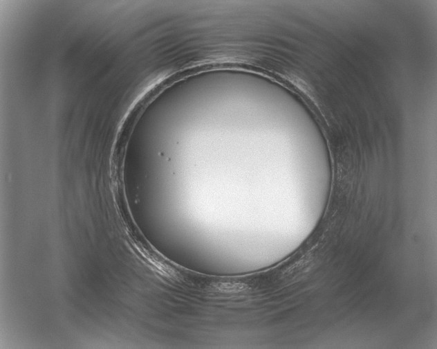X0000054391119200508191931