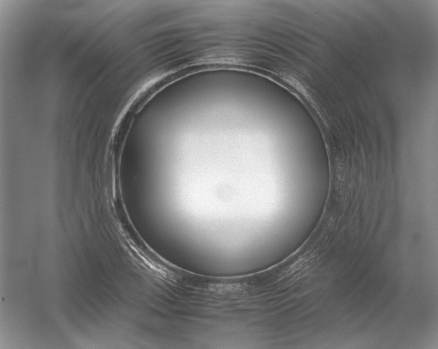 X0000054391123200508191932