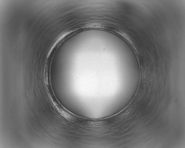 X0000054391131200508191932
