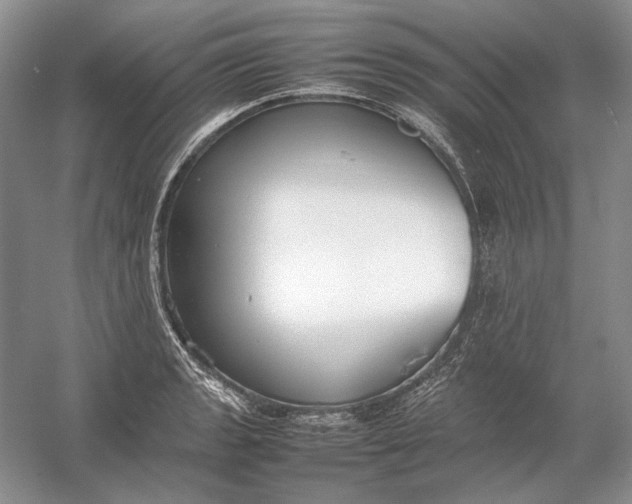 X0000054391133200508191932